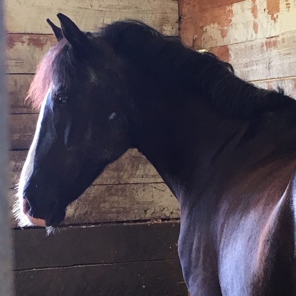 Welcome! - Picture 5 of 7